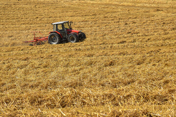 Obraz premium A red tractor works its way across a golden field during harvest season in the Swiss countryside