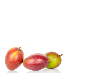 Ripe juicy mangoes on a white background, close-up.