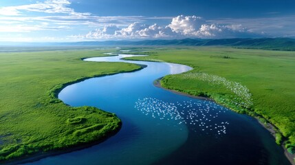 Aerial photography of a crystal-clear river meandering across vibrant green plains, flock of birds flying above, serene atmosphere, high-quality nature stock photo