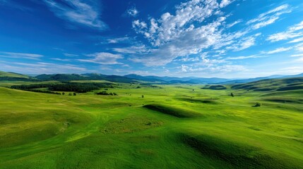 Obraz premium Aerial view of a vast green meadow, scattered wildflowers, gentle hills under blue sky, calm and peaceful mood, stock photo for wellness or relaxation themes