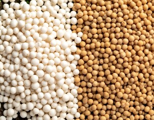 Close-up of white and light-brown seed-like food