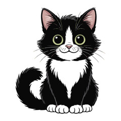 Vector art of cute black and white tuxedo kitten sitting and looking forward with big green eyes, isolated on white background