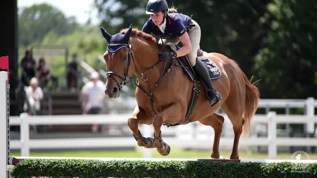 Equestrian athlete and horse jumping over a hurdle.