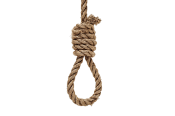 A close-up of a hanging noose.  Tan rope forms a loop, knot visible, against a black background