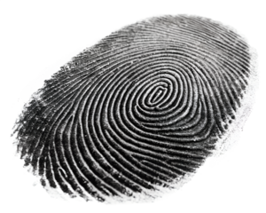 Black Fingerprint Macro Close-up