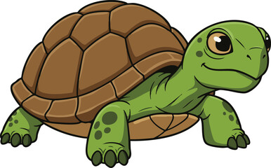Cute Smiling Tortoise