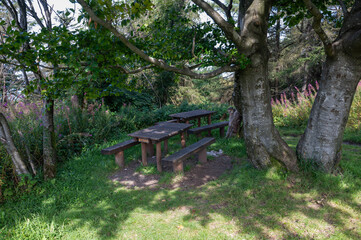 Picnic table by a  tree in a park