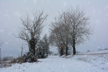 Snow-covered landscape on a cold