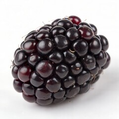 Fresh Blackberry Isolated on White Background Fruit