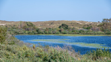 A lake in the dune nature reserve