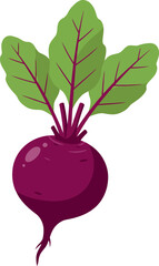 Fresh beetroot with green leaves