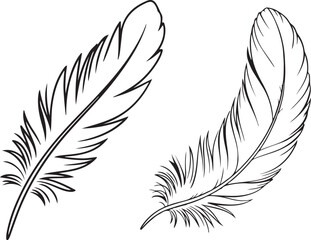 Obraz premium set of feathers vector illustration