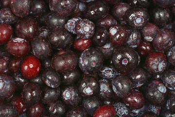 A close-up, top-down view of a large pile of freshly thawed blueberries, showing their texture and natural color variations