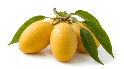 Fresh Mango Fruit with Green Leaves on White Background