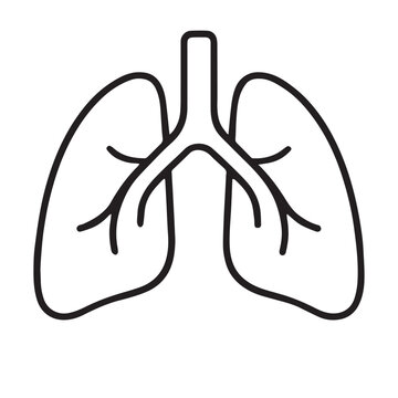 "Human lungs outline icon &ndash; Editable stroke vector illustration on white background, representing respiratory system and pulmonary health."
