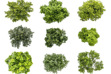Collection of green leafy bushes from a top down perspective isolated on transparent background. Top view collection of lush green trees isolated on white background.