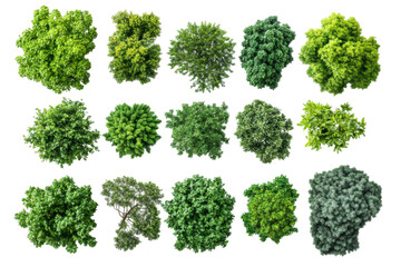 Collection of green leafy bushes from a top down perspective isolated on transparent background. Top view collection of lush green trees isolated on white background.