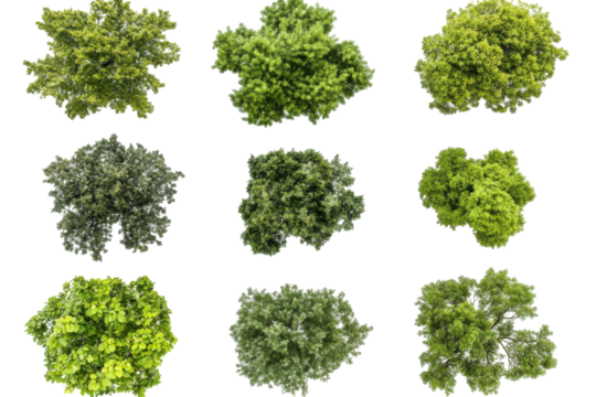 Collection of green leafy bushes from a top down perspective isolated on transparent background. Top view collection of lush green trees isolated on white background.