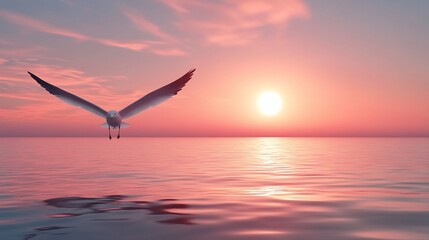 Obraz premium Sunrise seagull flight