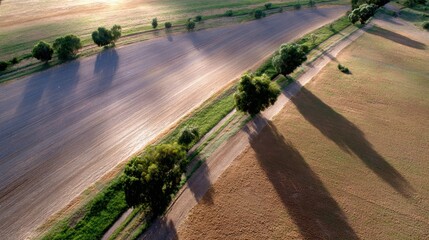 Top-down aerial photo of sunlit field, long shadows from trees, visible farm paths, rich soil textures, peaceful rural scene for stock photography