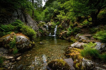 Tranquil forest stream with small waterfall