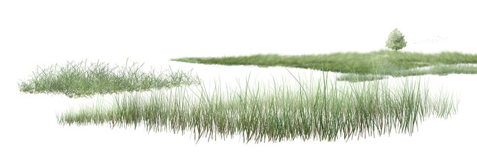 grass Peaceful island in a lake with reeds, grass, and clear water reflection under the blue sky.