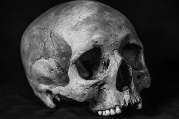 Obraz premium Monochrome closeup of a human skull against a black backdrop emphasizing texture and bone structure