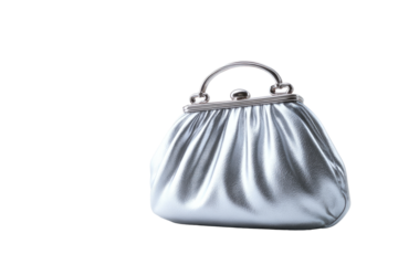 A silver,  puffy handbag with a metal clasp