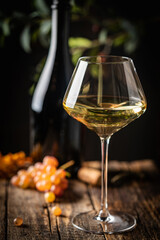 White wine in a glass with fall grapes, dark wooden background