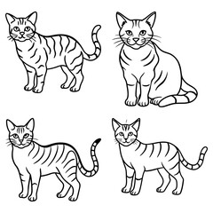 Fototapeta premium Four outlined tabby cats in various poses standing and sitting facing forward on a white background