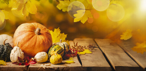 A rustic autumn still life with pumpkins and golden leaves on a wooden surface. Concept of...