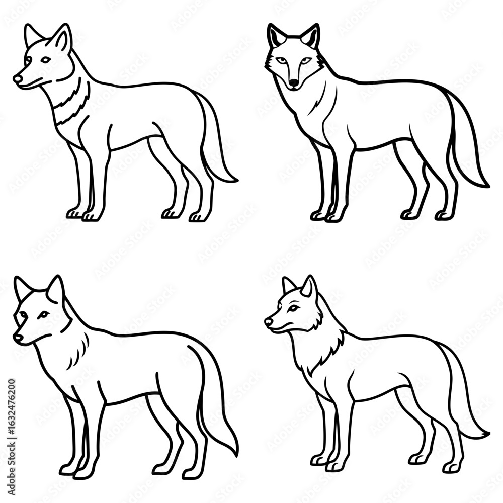 Poster four line art drawings of wolves standing in various poses with different fur patterns and head posi