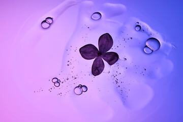 The beautiful texture of a gel-like serum with a lilac flower on a purple background.