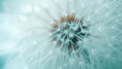 A serene and delicate macro photograph captures the ethereal beauty of a fluffy seed head in calming, pastel tones