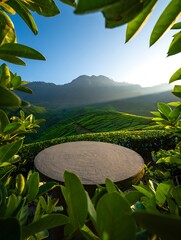 Stunning scenic spot for product placement with lush greenery and majestic mountains in the background, an ideal platform for your next marketing campaign