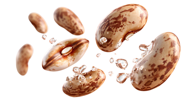 The Art of Kidney Beans in Food, Fiber, and Flavor