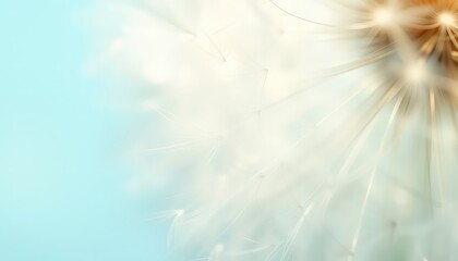 Naklejka premium Dreamy dandelion seed head with delicate details against a soft pastel blue background, creating a calming and ethereal composition