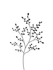 Leafy Botanical Branch Background for Quotes, Text Overlay, Printable Art