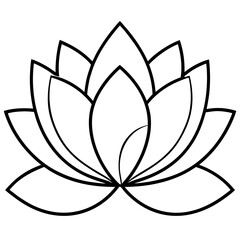 lotus flower vector
