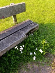 Fototapeta premium bench in the park