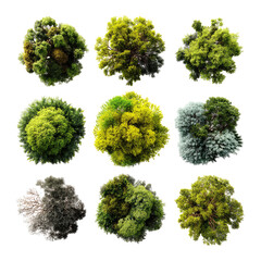 Aerial top-down view of various trees and shrubs.  Nine circular images show diverse foliage.  Greens, yellows, and muted grays/browns are prominent.  Each displays a distinct crown shape