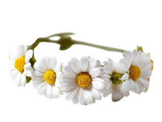 Daisy Bud Headband Soft Petals Blooming Charm