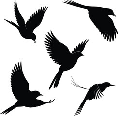 A dynamic flock of black bird silhouettes in various flying poses, creating a sense of motion and freedom, perfect for nature and wildlife designs