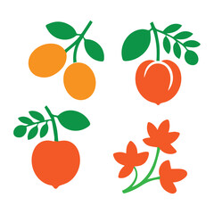 Stylized illustrations of four different fruits and flowers on branches with leaves