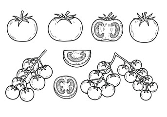 Illustration of various tomatoes isolated on white background, showcasing different shapes, sizes, and arrangements of this versatile fruit and vegetable © arfanah02