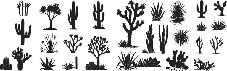 Cactus silhouette, desert plants, tropical nature, wild succulent, spiky flora, botanical shapes, dry landscape, prickly cactus, silhouette plant, vector cactus drawing, nature clipart