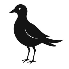 Obraz premium silhouette of a bird