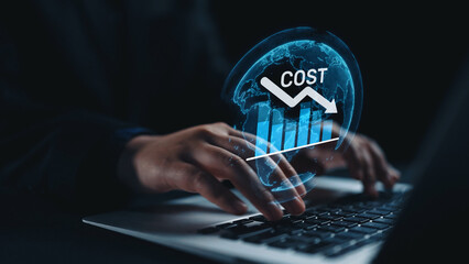 Cost reduction and cost saving through digital transformation, business cost optimization,...