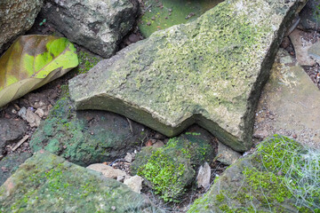 A close-up shot of vibrant green moss growing on large rocks. Thin, tangled white threads are...