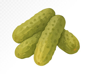 Realistic watercolor illustration of fresh pickled cucumbers, a crunchy and tangy staple of Eastern European cuisine. Vector illustration.